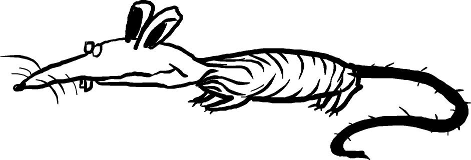 rat
